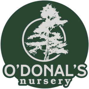 O'Donal's Nursery (2)
